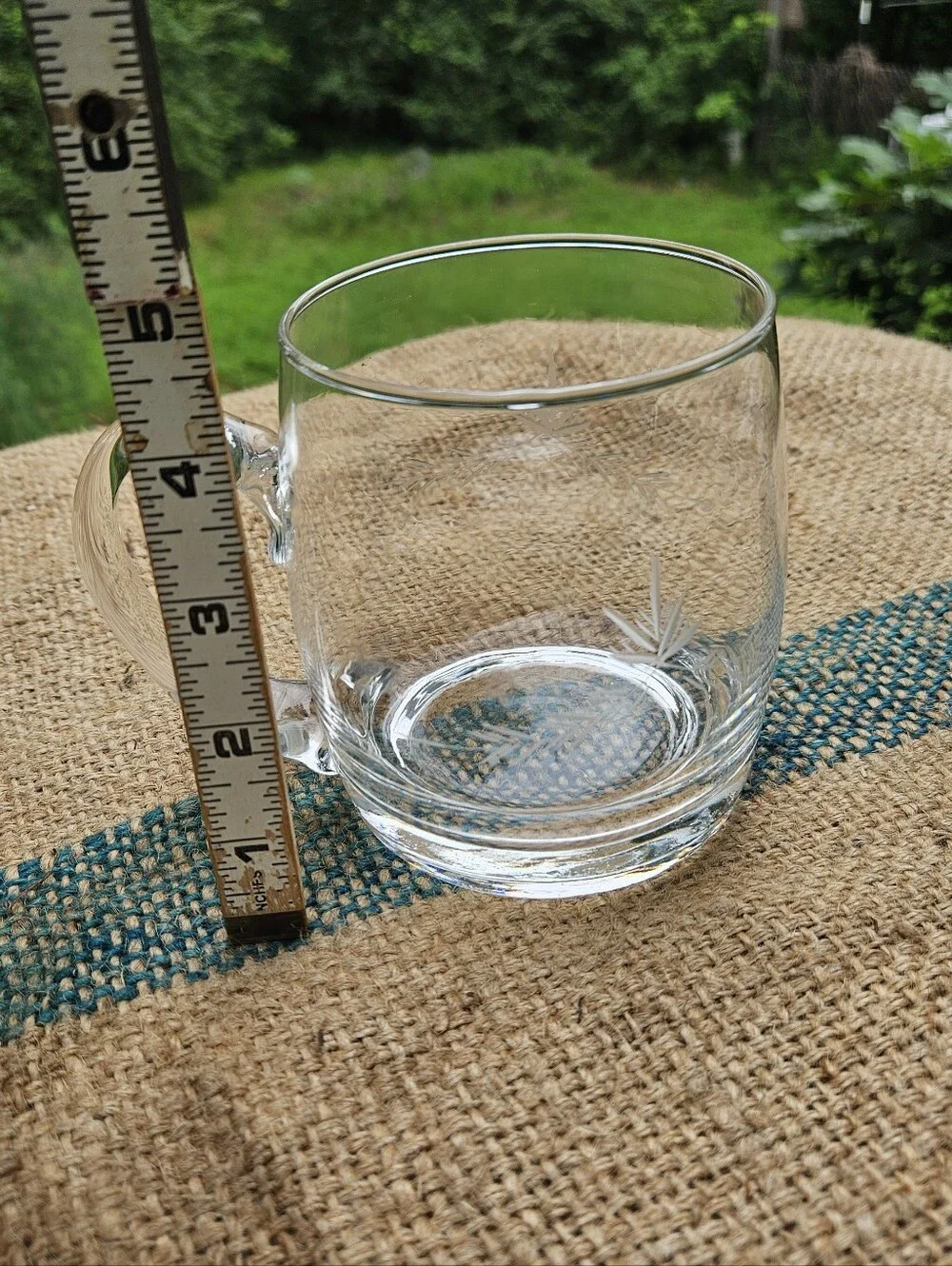 Etched Clear Glass Mug with Etched Branch Design Large Beer Mug